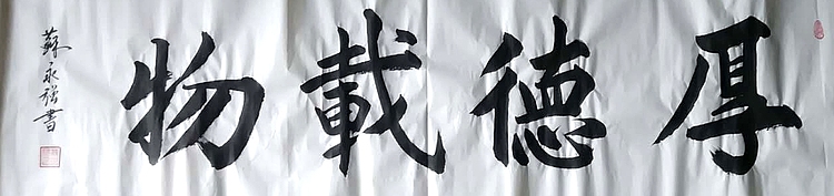 中国书画家协会会员  苏永强 书法