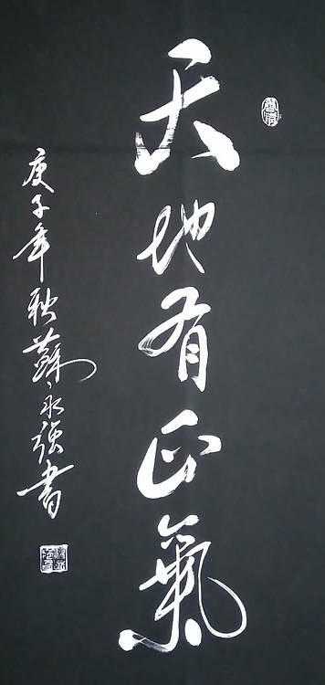 苏永强,中国书画家协会会员  苏永强 仿碑拓书法