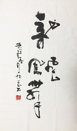 冯树宽 书法作品 龙飞凤舞