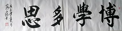 中国书画家协会会员 苏永强 四尺条书法