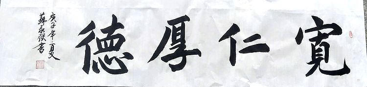 中国书画家协会会员 苏永强 四尺条书法
