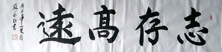 中国书画家协会会员 苏永强 四尺条书法