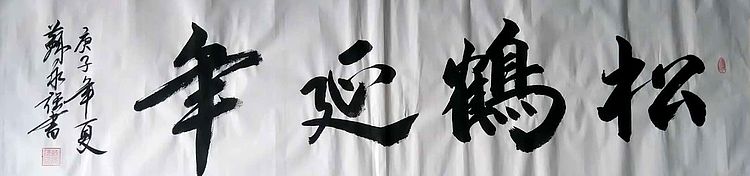 中国书画家协会会员 苏永强 四尺条书法