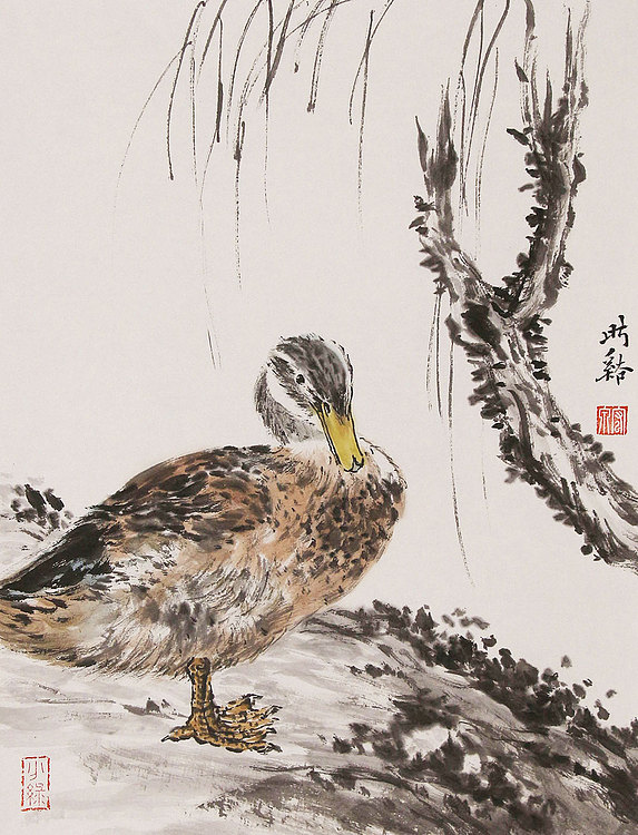 《边缘·艺术》主编，著名艺术评论家 ，职业画家 许宏泉 国画花鸟