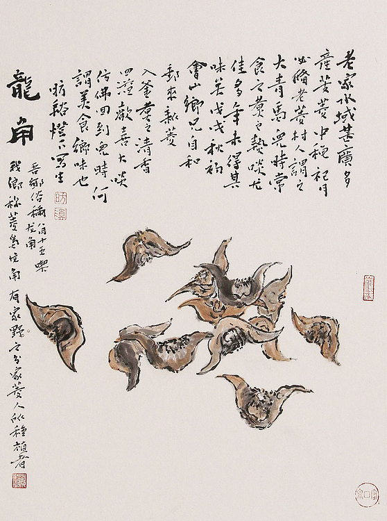 《边缘·艺术》主编，著名艺术评论家 ，职业画家 许宏泉 国画花鸟