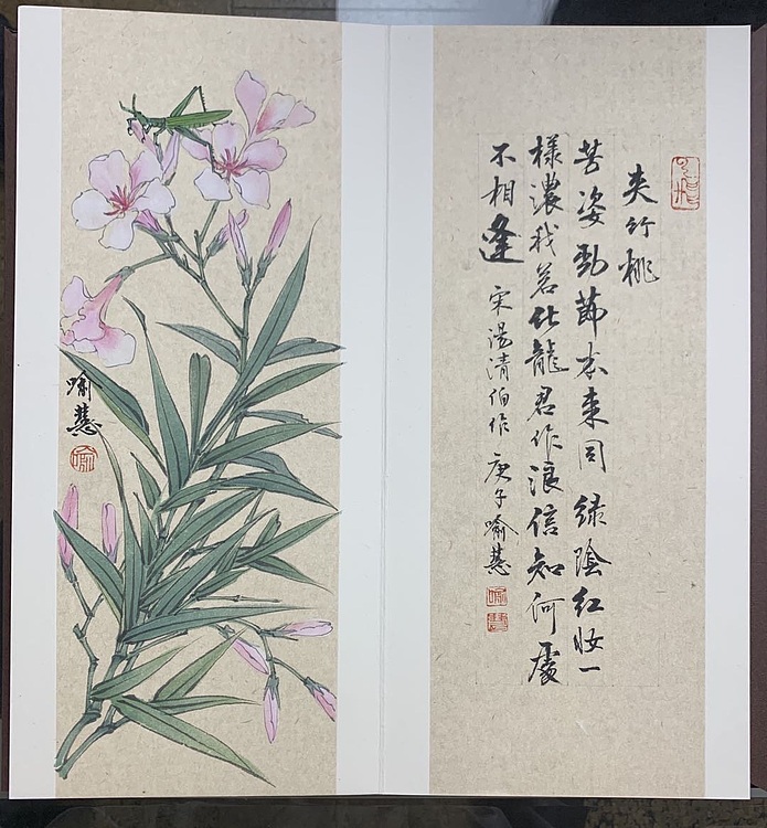 名家&mdash;&mdash;江苏省国画院副院长 喻慧 花鸟 本草纲目八开册页