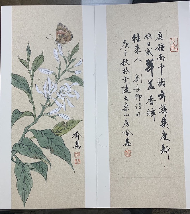 名家&mdash;&mdash;江苏省国画院副院长 喻慧 花鸟 本草纲目八开册页