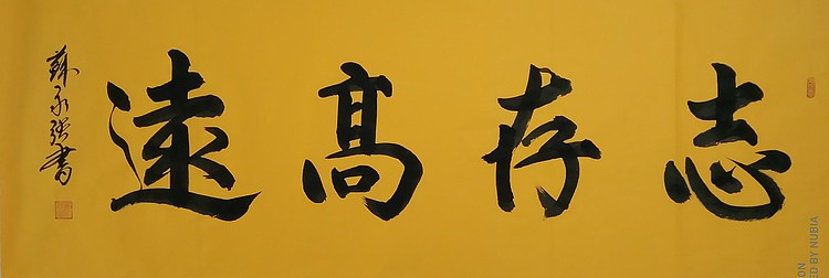 中国书画家协会会员 苏永强 书法作品 志存高远