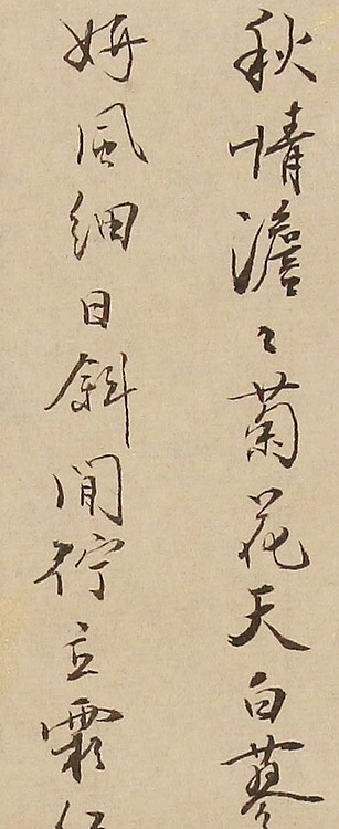 秒拍作品   沈长庆