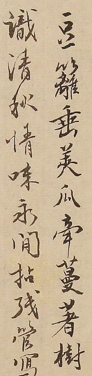 秒拍  沈尹默先生之孙沈长庆 书法