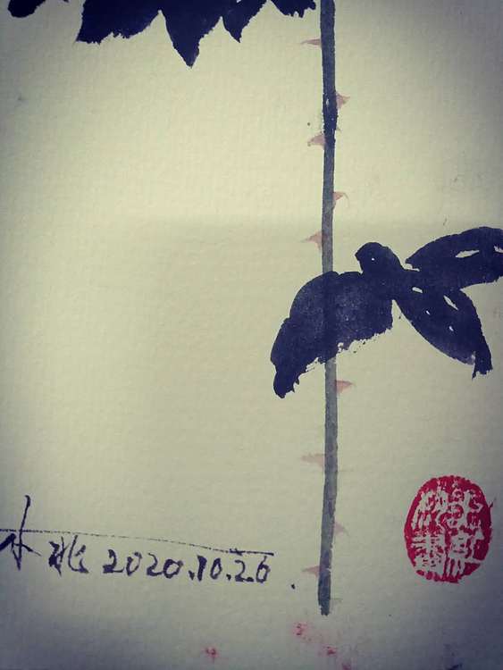 王红桃 小玫瑰8