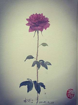 王红桃 玫瑰香5