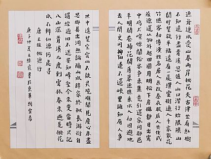 名家 中国美协会员 王绿霞