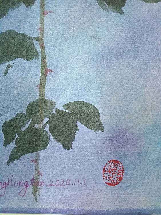 王红桃 玫瑰11