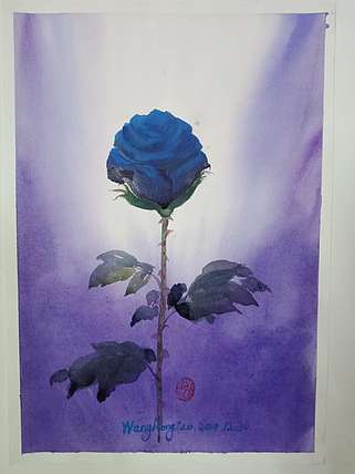 王红桃 玫瑰10