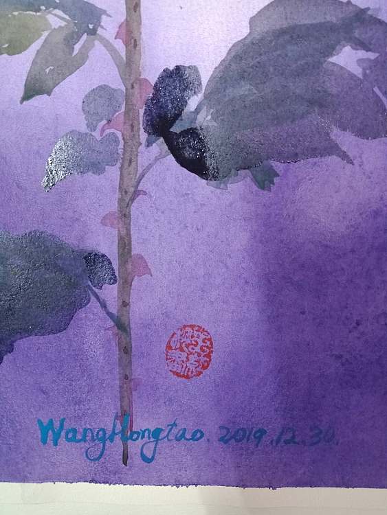 王红桃 玫瑰10
