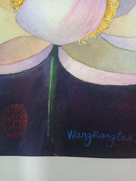 王红桃 莲花