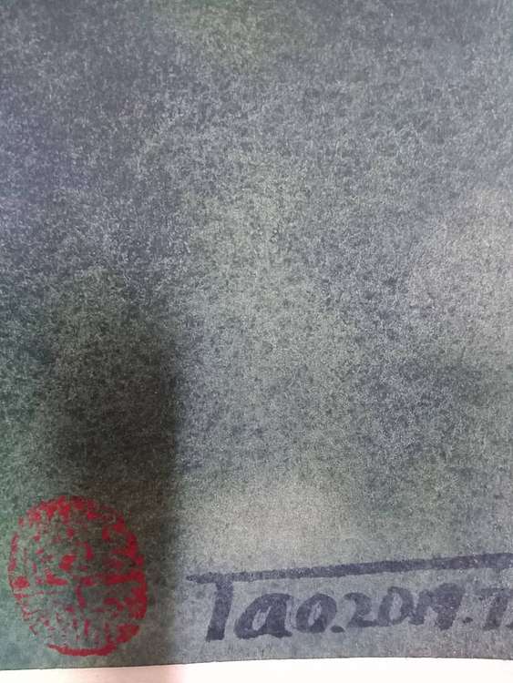 王红桃 月光下的白玫瑰