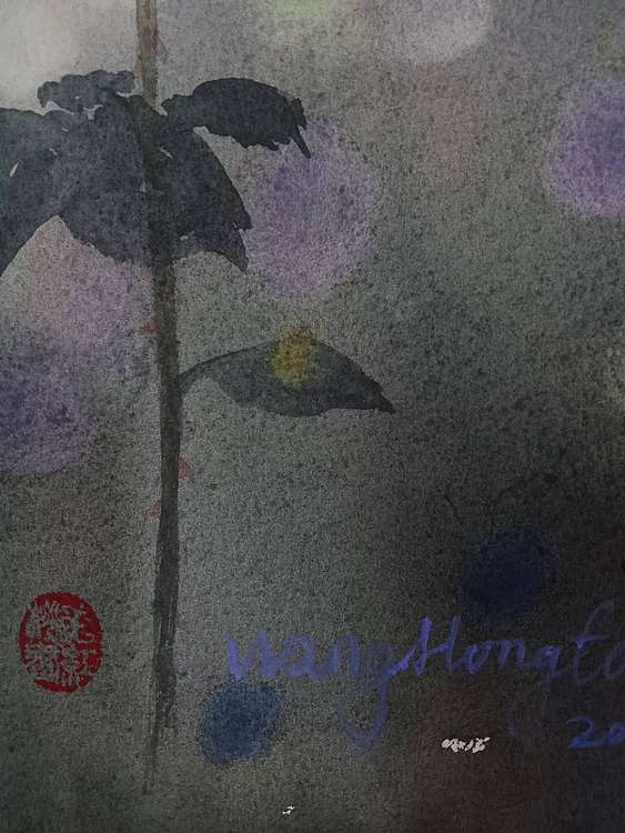 王红桃 玫瑰13