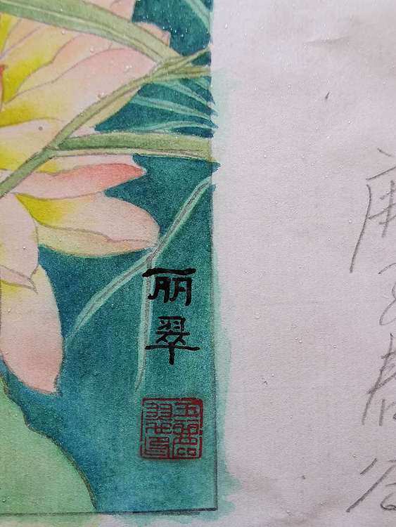 王丽翠 清荷丽影