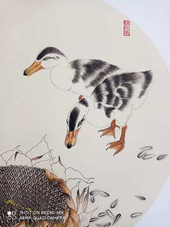 镜花水月 清趣