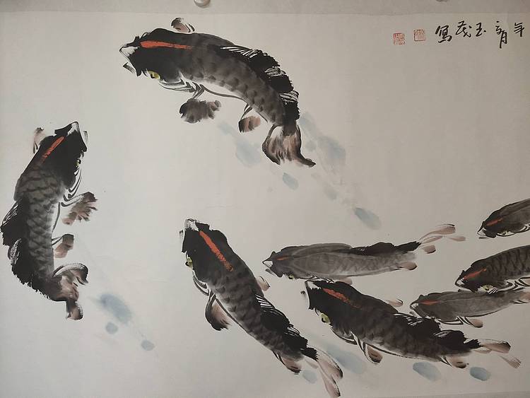 “江北杨鲤鱼”杨玉茂 九鲤庆丰年