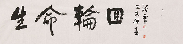 中国书法家协会会员 省书协评审委员会委员 张灵
