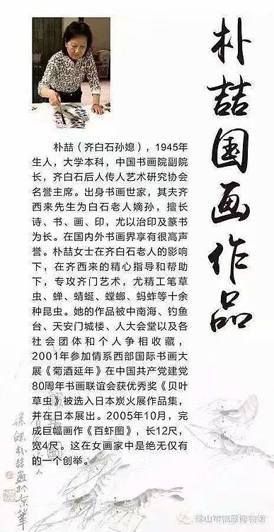白石孙媳 多寿