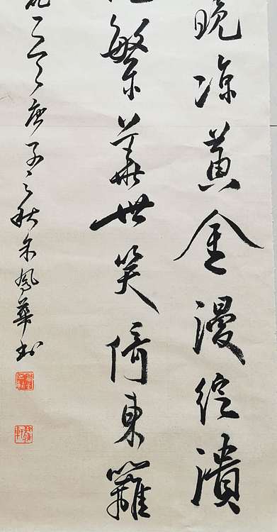 致雅轩 菊花