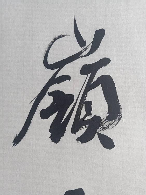 中国硬笔书法协会会员 白镇源 终南望余雪