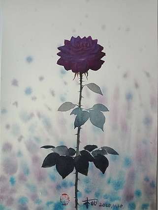 王红桃 一花一世界——玫瑰花17