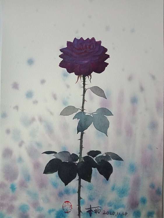 王红桃 一花一世界——玫瑰花17