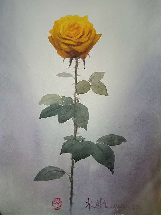 王红桃 一花一世界——玫瑰花19