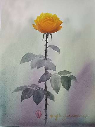 王红桃 一花一世界——玫瑰花15