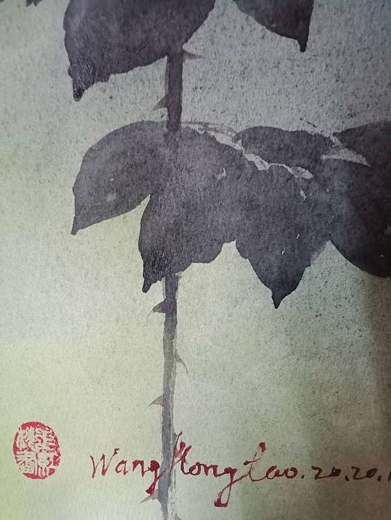 王红桃 一花一世界——玫瑰花18