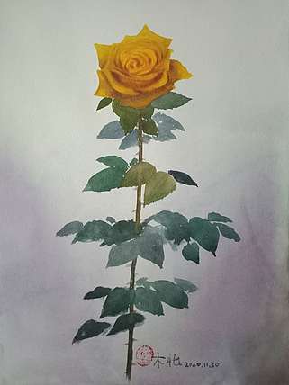 王红桃 一花一世界——玫瑰花20
