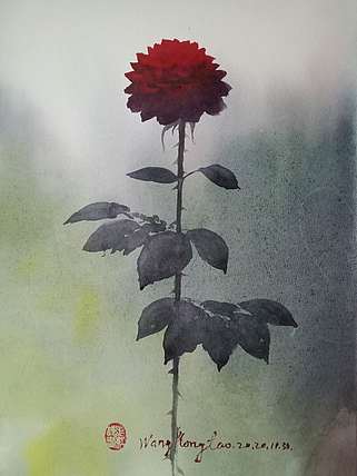 王红桃 一花一世界——玫瑰花18