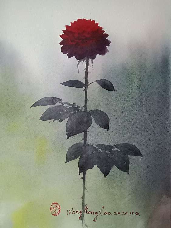 王红桃 一花一世界——玫瑰花18