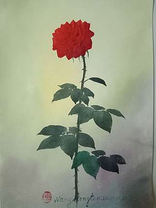 王红桃 一花一世界——玫瑰花16