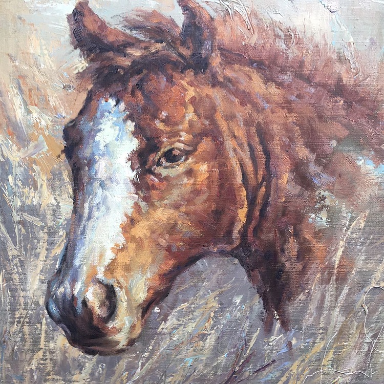 黄振能手绘油画作品《马》