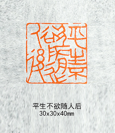 平生不欲随人后