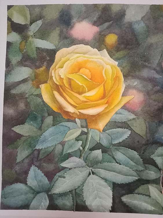 王红桃 花园里的黄玫瑰
