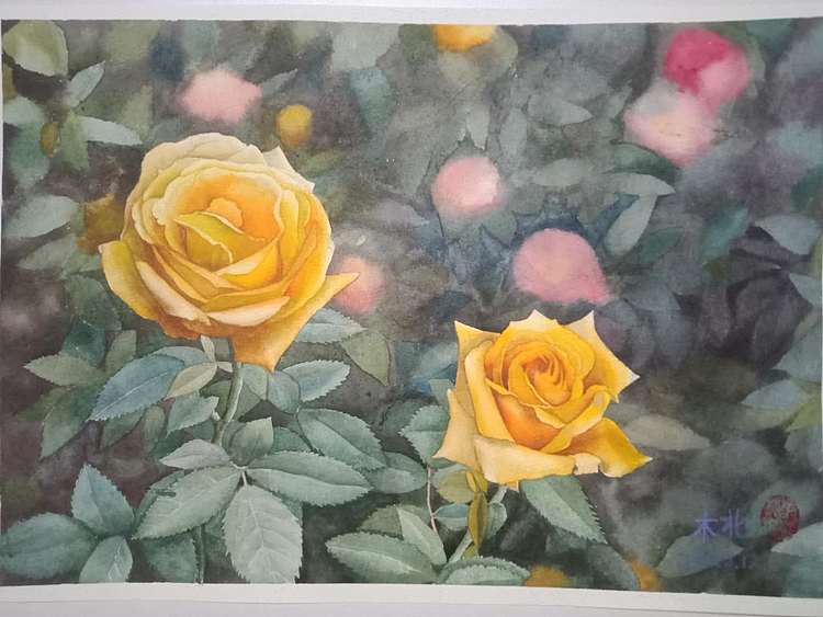 王红桃 花园里的黄玫瑰