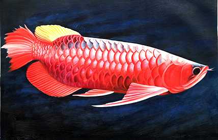 青年油画家 黄紫兰 精品油画