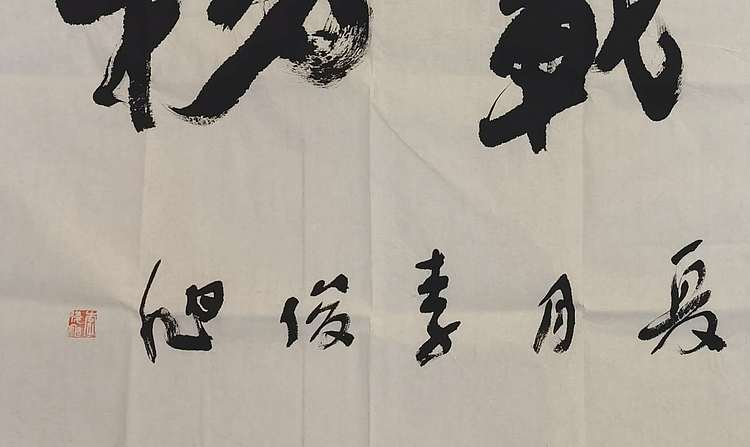 平顶山书协副主席  李俊旭