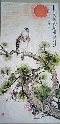 洪君 雄鹰远瞩