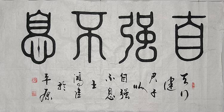 王洪臣 自强不息