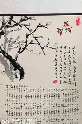 绍静 迎春