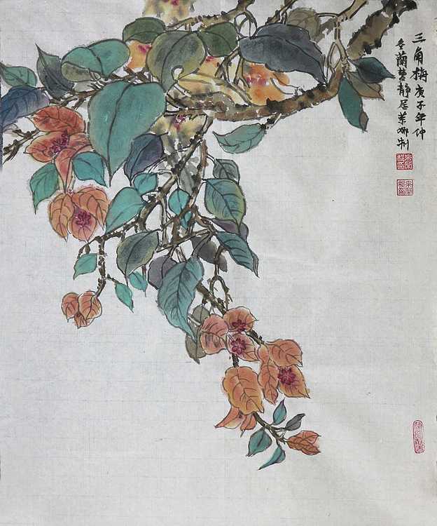 人大高研班 西安美协会员 来荣娜 花鸟画作品 三角梅