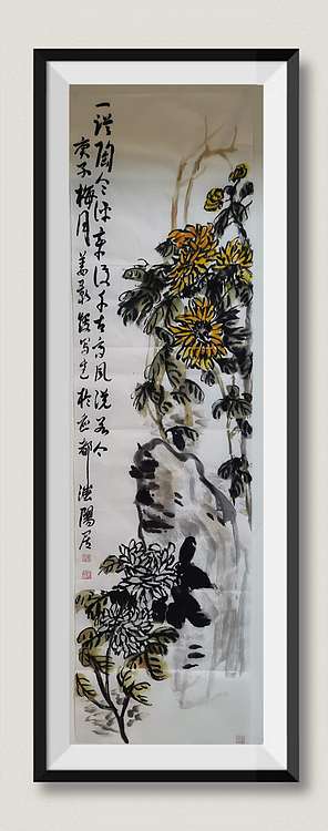 金韵 菊花